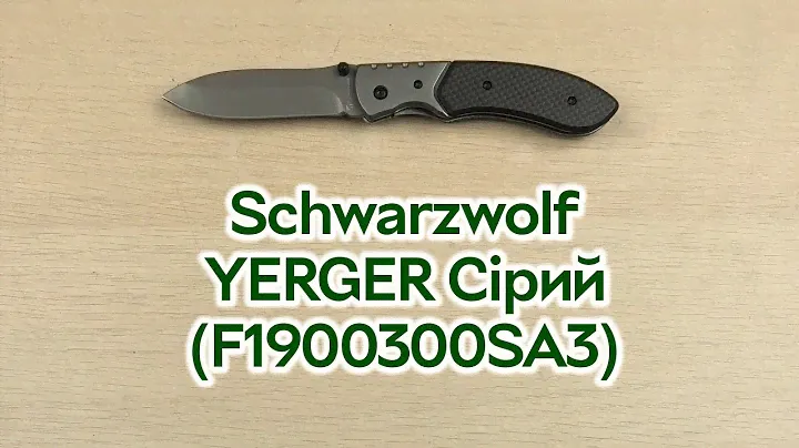 Розпаковка Schwarzwolf YERGER Сірий (F1900300SA3)