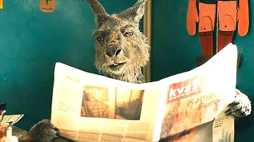 ОТВЯЗНАЯ КОМЕДИЯ С ОТЛИЧНЫМ ЮМОРОМ! Осторожно, Кенгуру! Лучшие фильмы  Filmegator