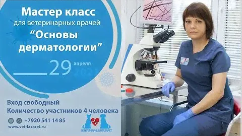 МАСТЕР-КЛАСС: ОСНОВЫ ДЕРМАТОЛОГИИ