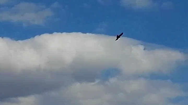 НСО г.БЕРДСК /Речкуновская зона отдыха/ ЧАСТЬ 3 05/05/2021