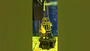 Санаторий Сибиряк.