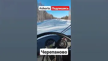 Черепаново/водитель автобуса/мильтюши/shorts