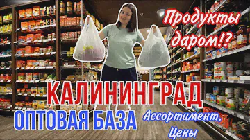 Продукты даром? Цены на оптово-розничной базе Калининграда🔥