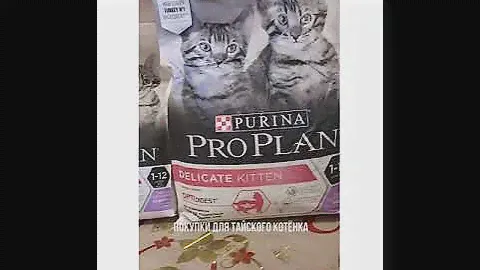 ПОКУПКА ТОВАРОВ ДЛЯ ТАЙСКОГО КОТЁНКА#Тайский котёнок#покупки#радость