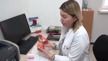 Услуги УЗИ сердца в медицинском центре "Панацея"