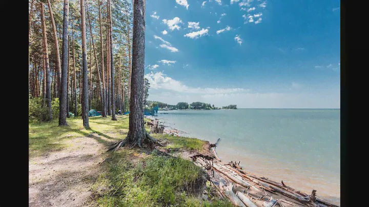 Бердск