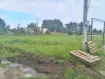 городской округ Бердск, Бердск, микрорайон Раздольный, микрорайон Раздольный земельный участок 6 соток
