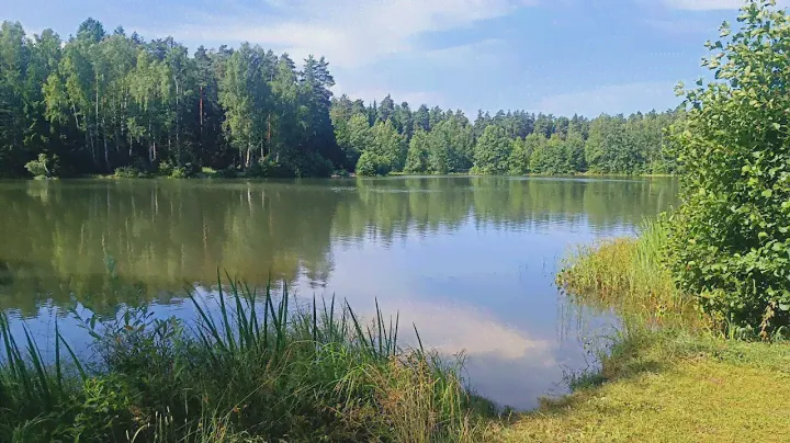 Квартира в доме у озера в городском округе Электросталь