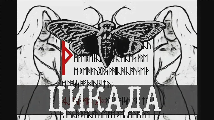 Все загадки Cicada/Цикада 3301