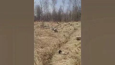 А вот дачи на Дальнем Востоке...бросают и всё!! Нет денег на содержание...