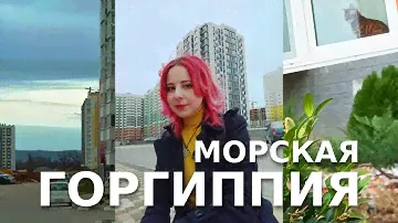 #Анапа Морская ГОРГИППИЯ 2024 l Район