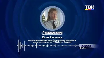 Мужчина за рулем «Тойоты» съехал в кювет в СНТ «Луговое»