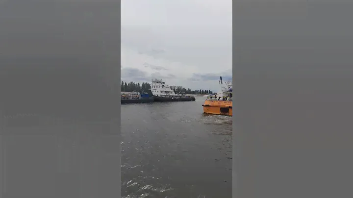 Толкач"ОТ-2126".Лето.17.12.2023г.