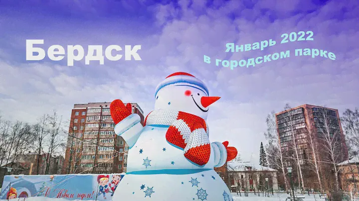 Бердск. Январь 2022, в городском парке. (Новосибирская область, Западная Сибирь России)