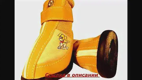4 лапы обувь для собак