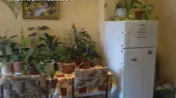 Снять комнату в общежитии на длительный срок