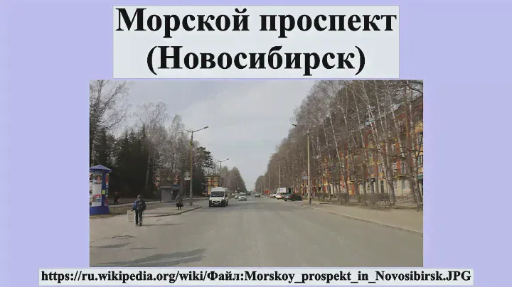 Морской проспект (Новосибирск)