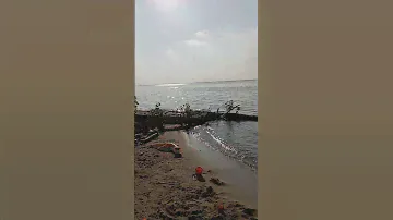 наш отдых на бердской косе