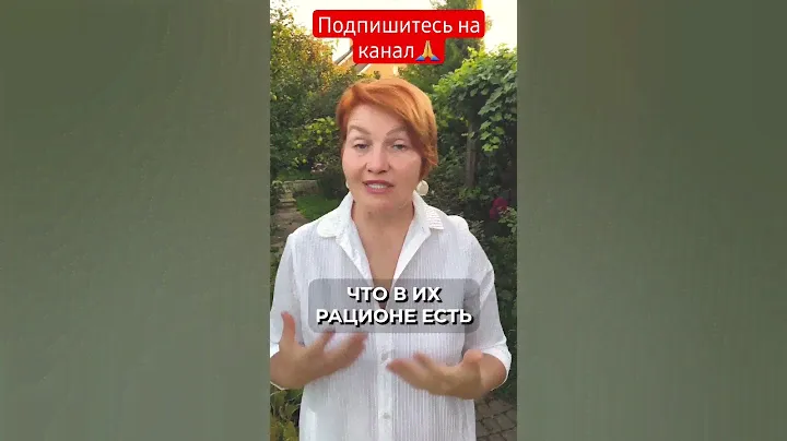 Почему  у  жителей  японии редко встречается  онкология