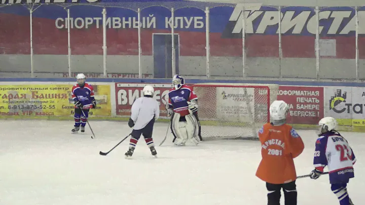 2014.02.16 Хоккей. Кристалл.2005-Кристалл.2004 (8-18). Бердск. 5453