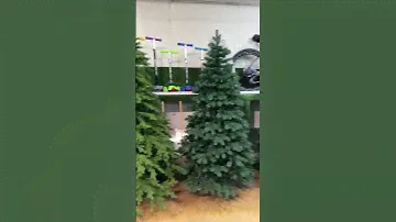 Японские суши! Сколько стоит?