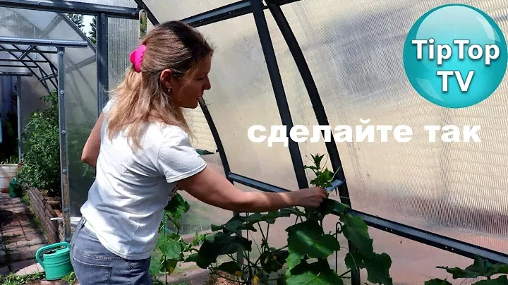 ФИКС ПРАЙС СЕТКА ДЛЯ ПОДВЯЗКИ ОГУРЦОВ ОГУРЦЫ В ТЕПЛИЦЕ