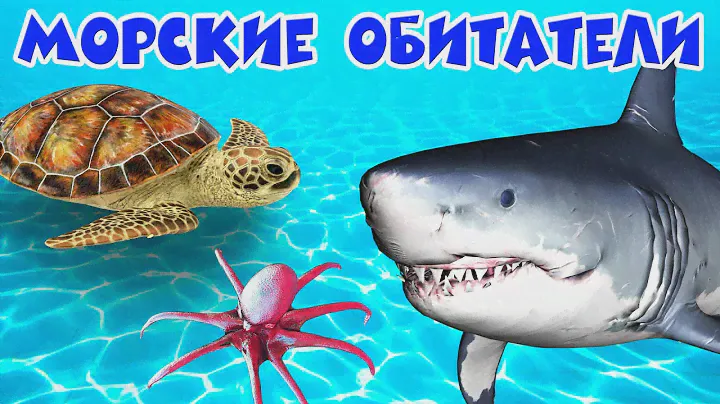 Обитатели морей и океанов 🐠 Развивающие мультики 🐟 Морские животные 🐬 Подводный мир