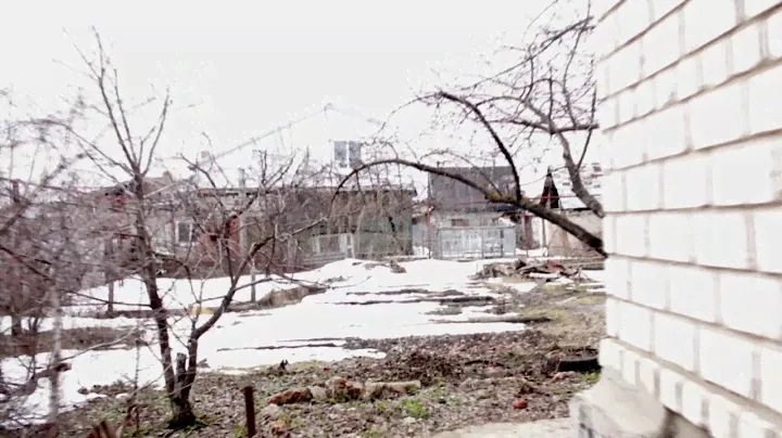 Дом, ул  Пушкина, г. Димитровград, Ульяновская обл.