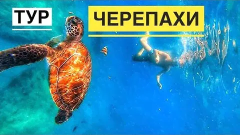 ТУР К ЧЕРЕПАХАМ НА КОРАБЛЕ. ЭКСКУРСИЯ В ТУРЦИИ КОТОРУЮ ЗАПОМНИТЕ!
