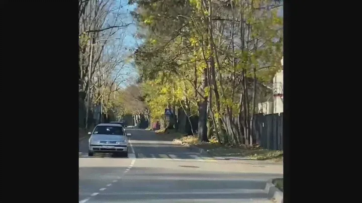 Дорога к лесной сказке..