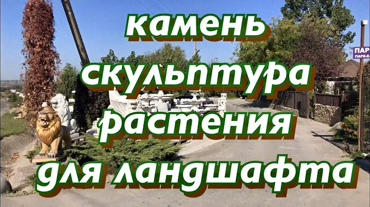 Садовый центр Камень Скульптура Растения для ландшафта