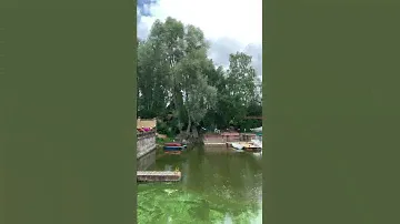 Дом БОРОВОЕ МАТЮШИНО (вид на залив о.Волга)